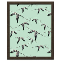 Flight of flamingos
