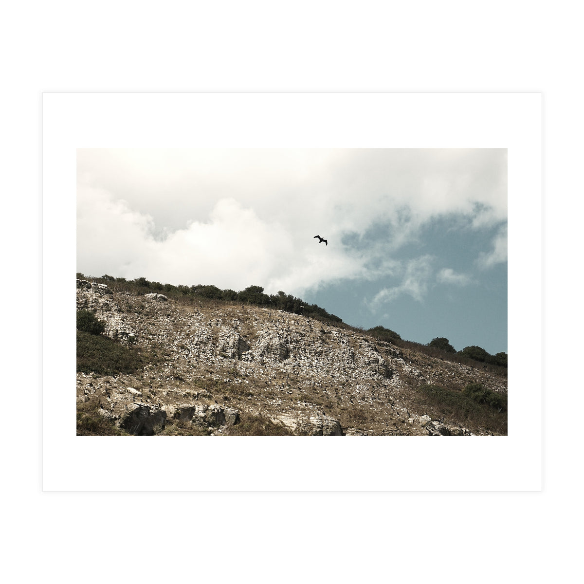 Soar High (Print Only)