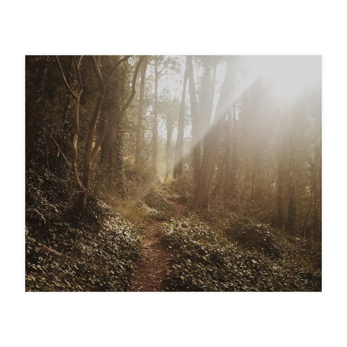 Mt. Davidson II (Print Only)