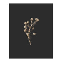 Gold Drops Botanicals - Square (Print Only)