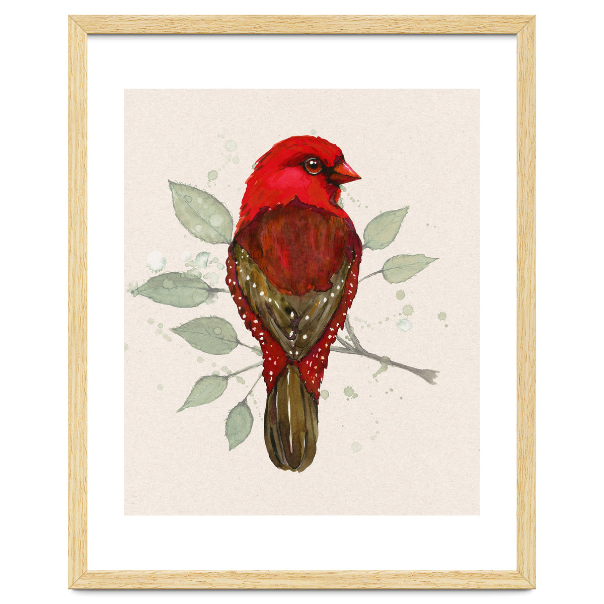 Red avadavat watercolor
