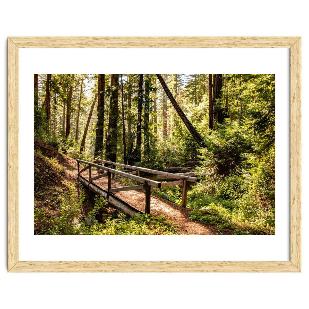 Ewoldsen Trail Bridge