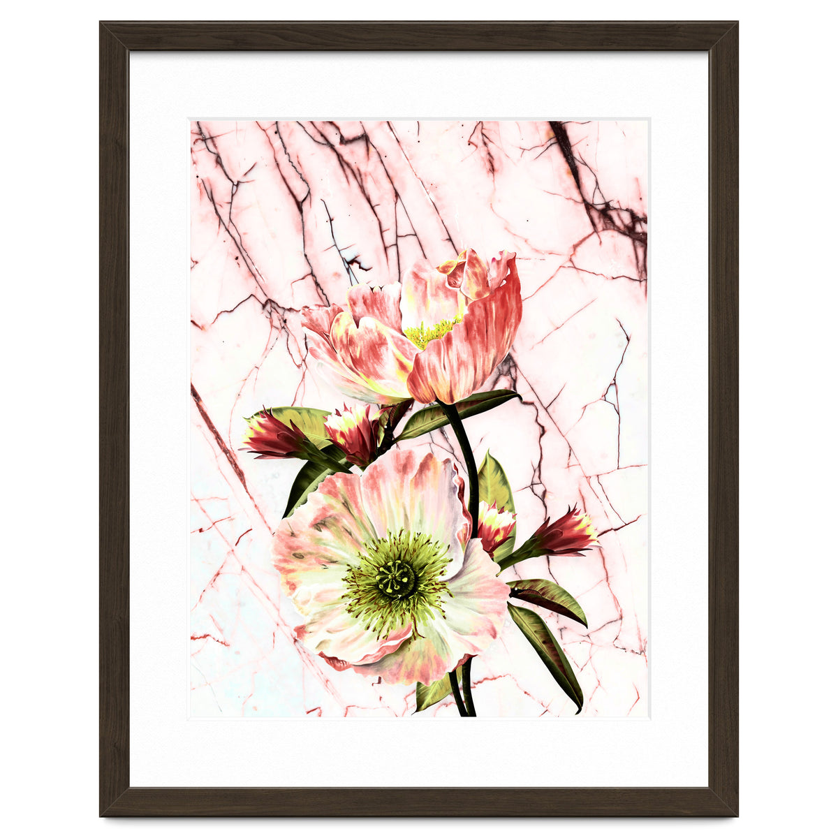 Flowering on pink marble