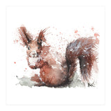 Squirrel - Wildlife Collection (Print Only) thumbnail