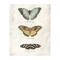 Butterflies II (Print Only)