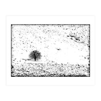 Somewhere There Is A Field, White And Quiet, Where A Tree Like This One Stands (Print Only)