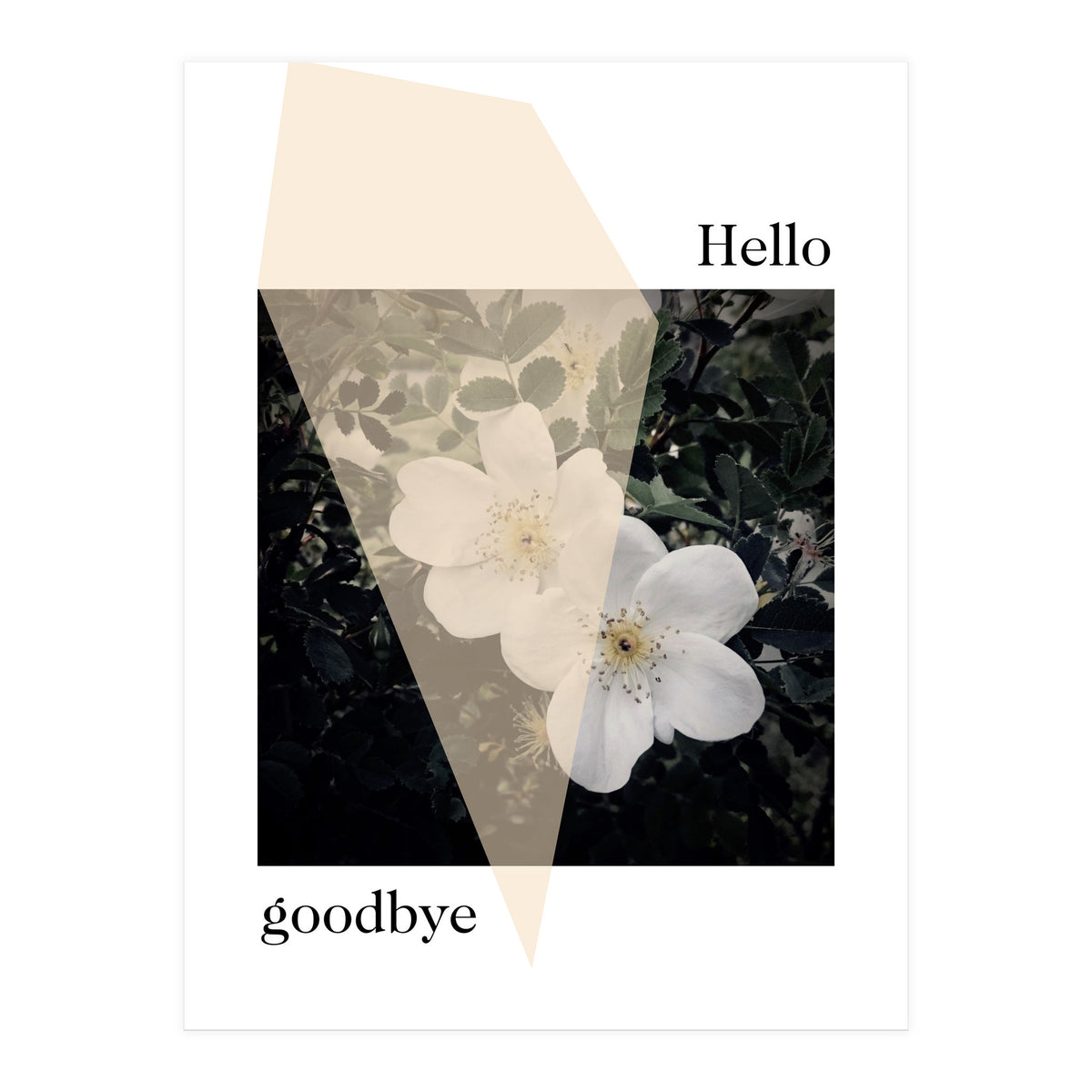 Hello goodbye  (Print Only)