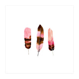 Blush Feathers (Print Only) thumbnail