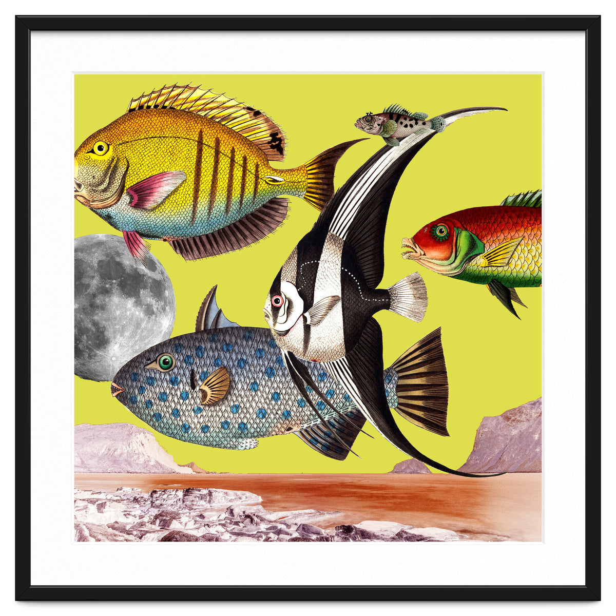 Plenty Of Fish In The Sea Yellow