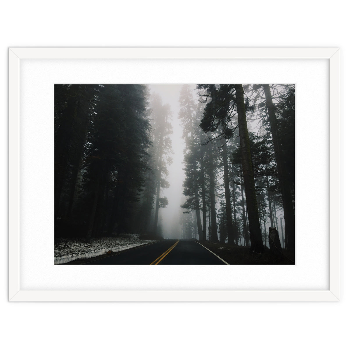 Foggy Yosemite