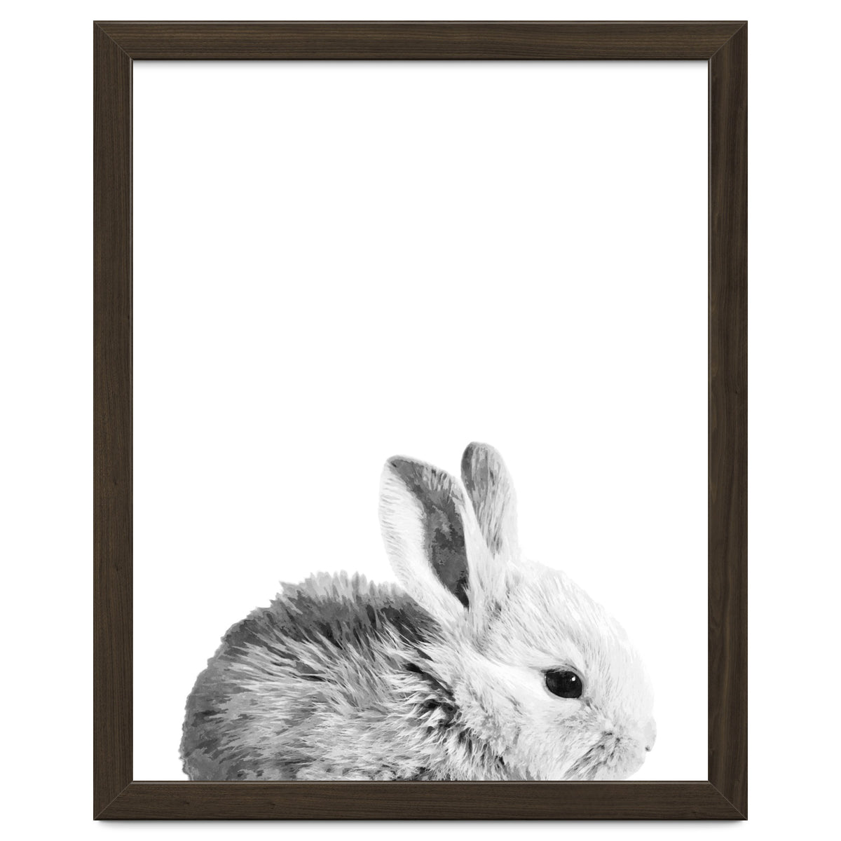 Black and White Bunny Portrait