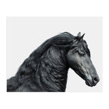 Friesian Horse (Print Only) thumbnail