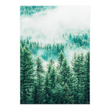 Forest And Fog (Print Only) thumbnail