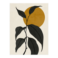 LEAF AND SUN - 03 (Print Only)