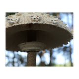 Shelter In The Woods (Print Only) thumbnail