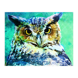 Great Horned Owl (Print Only) thumbnail