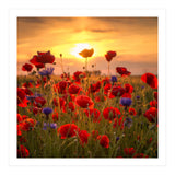 Poppies (Print Only) thumbnail