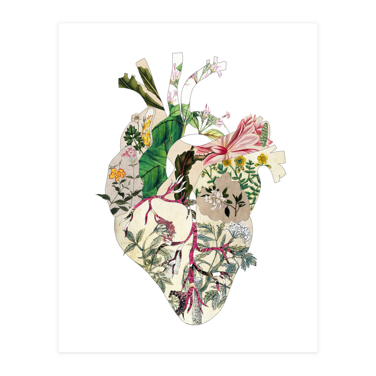 Vintage Botanical Heart (Print Only)