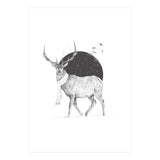 Winter Is All Around (Print Only) thumbnail