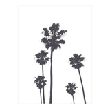 Palms & Sunset-Minimal B&W 2 (Print Only) thumbnail