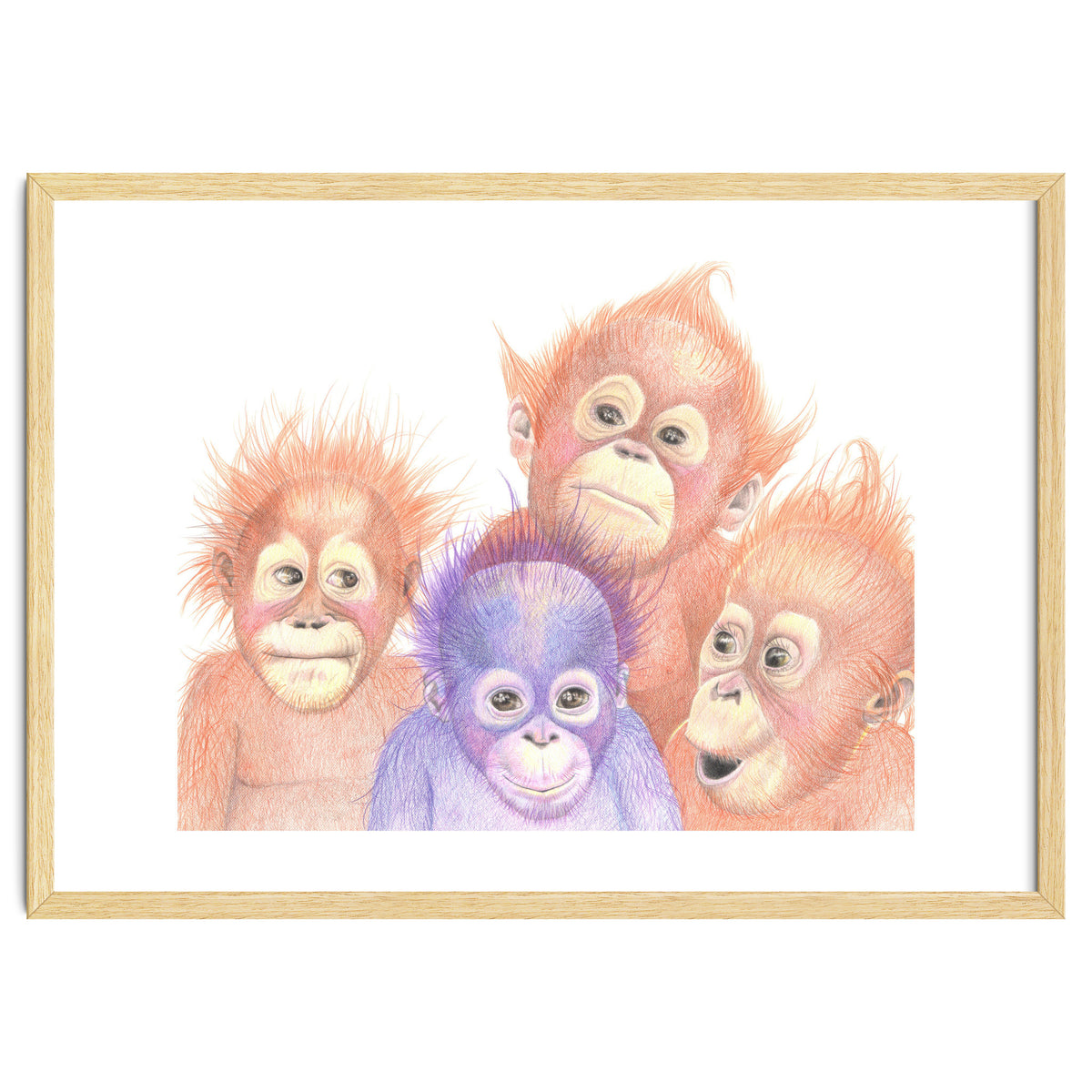 Orangutan Babies