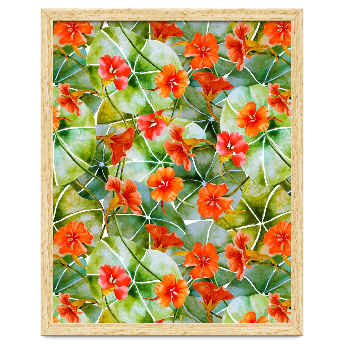 Nasturtiums watercolor 01