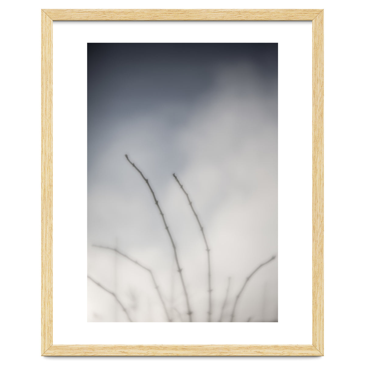 Forgotten Memories of summer #18