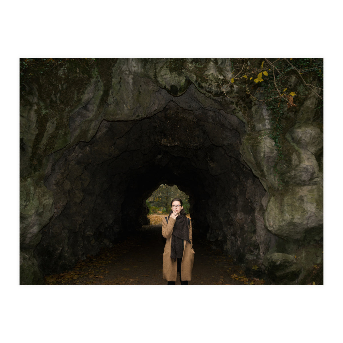 Transition from Summer to Winter (Print Only)