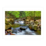 Spring At Harz Moutain (Print Only) thumbnail