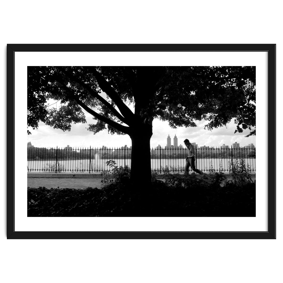 Central Park, New York City