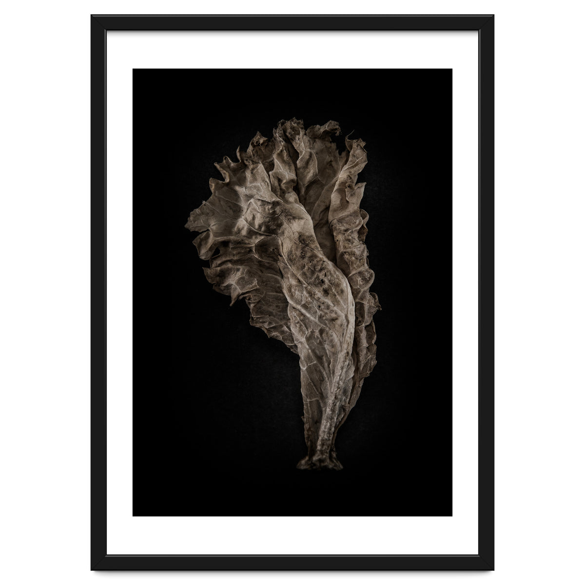 Leaves No 8 Color Version