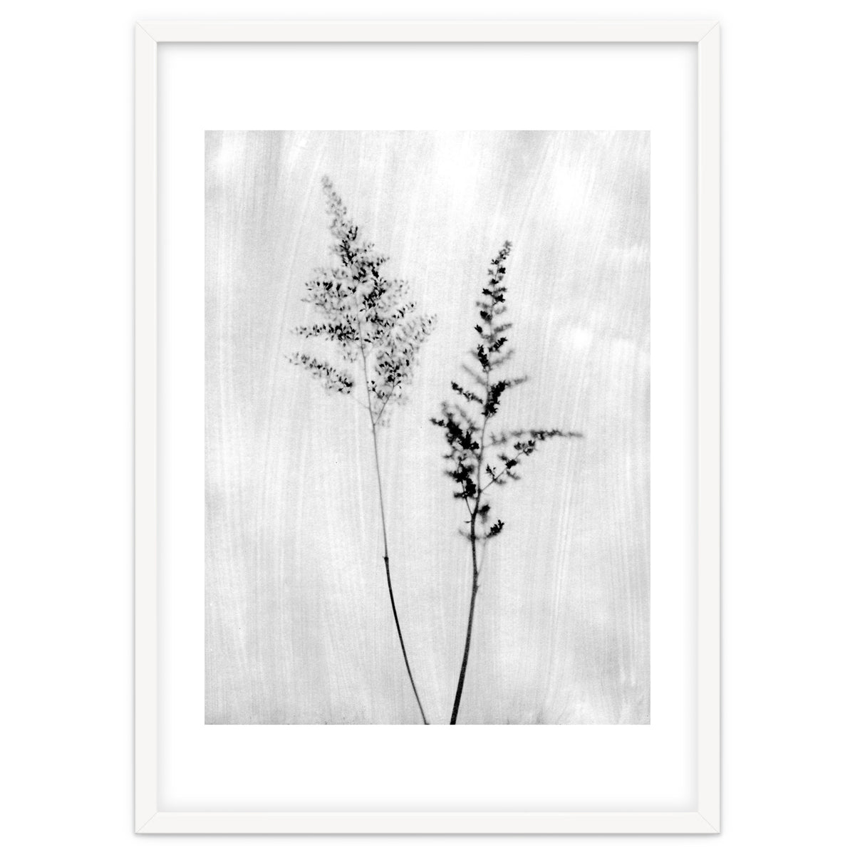 Delicate Wildflowers