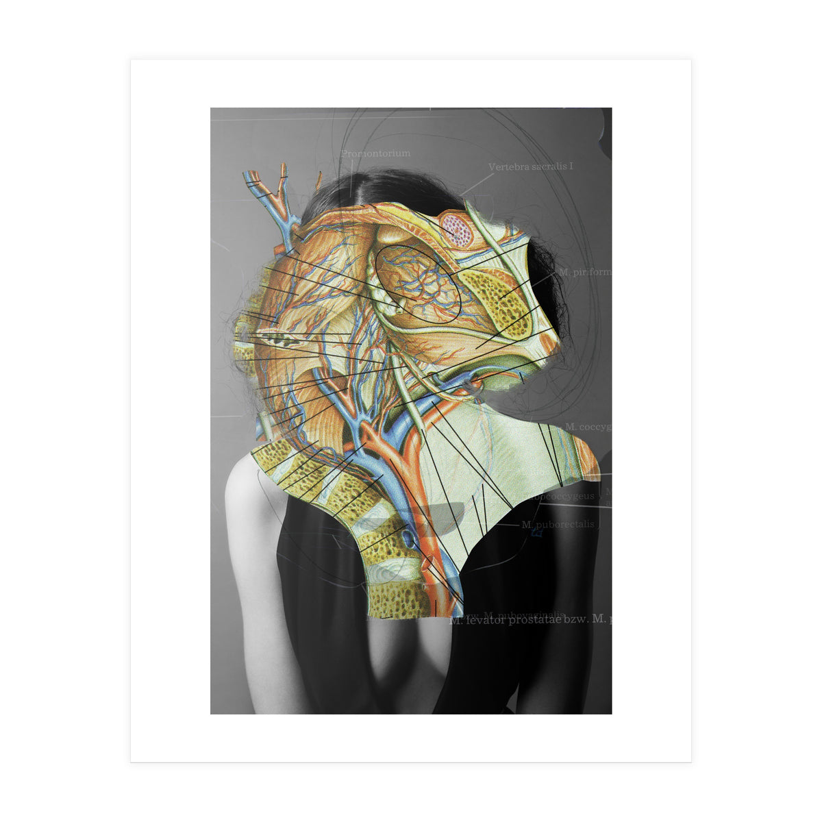 Crazy Woman 210 (Print Only)