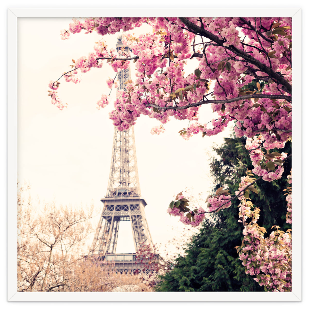 Paris in the Spring