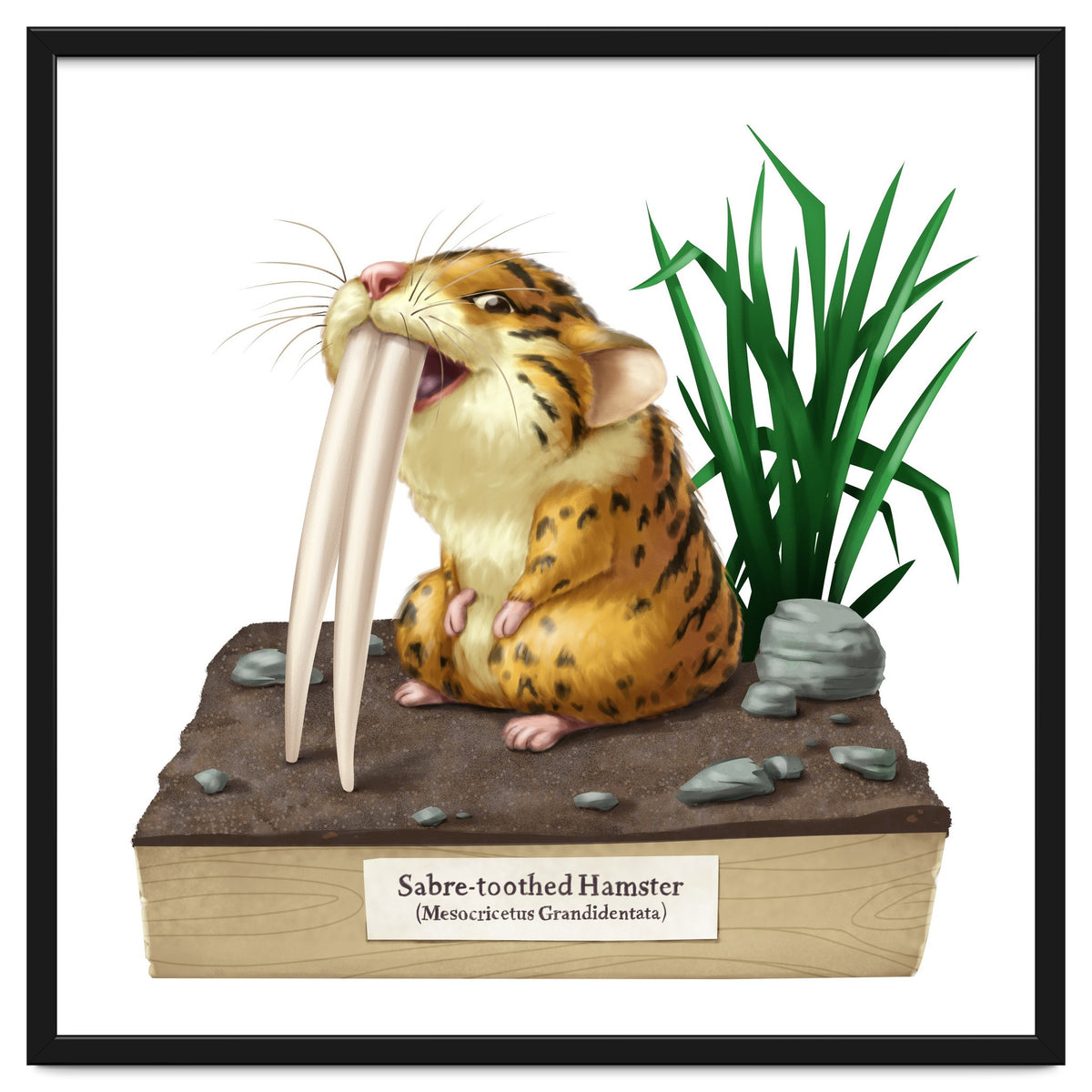 Saber-toothed Hamster