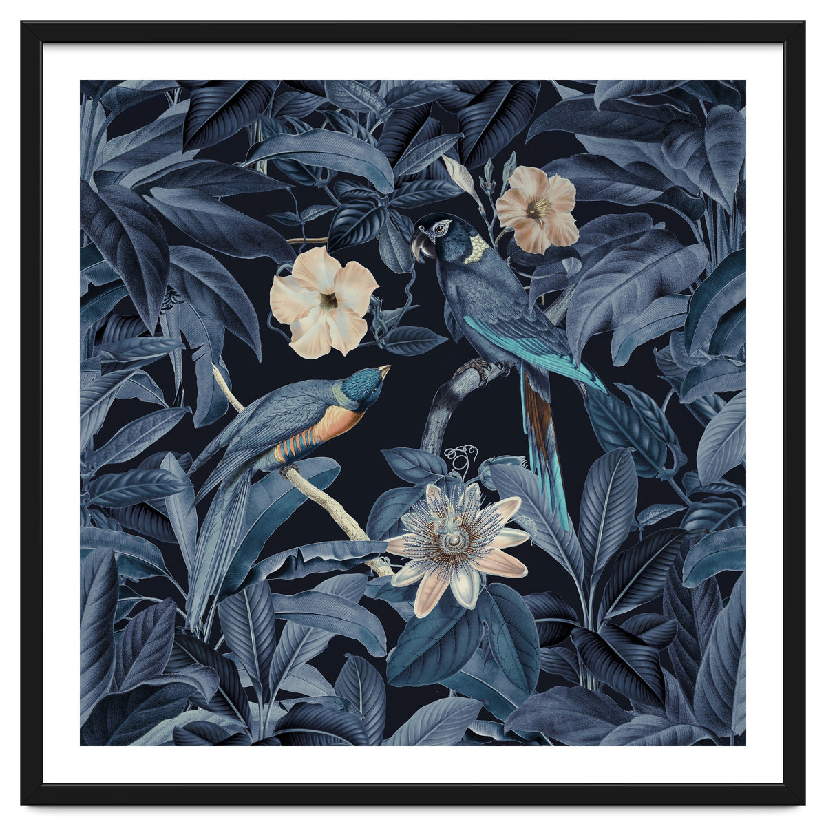 Exotic Jungle Birds At Night