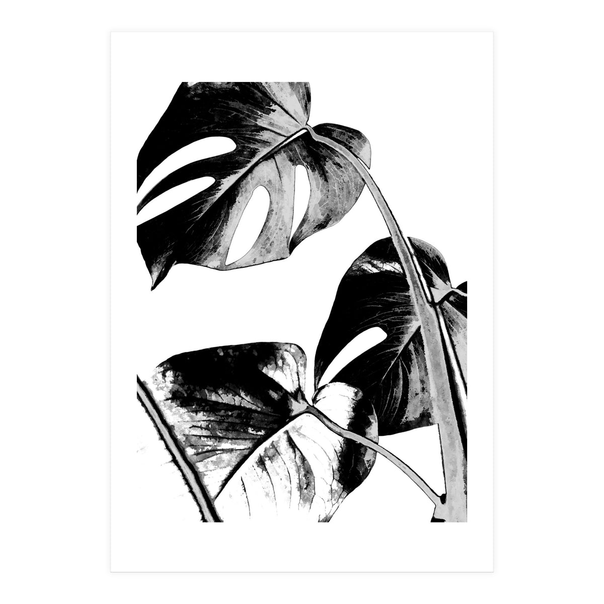 Black Tropical Leaves  (Print Only)