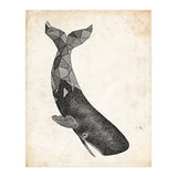 balena (Print Only) thumbnail