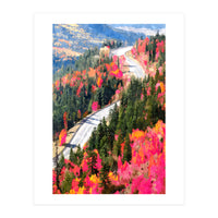 Valley of Pink Trees | Fantasy Pop of Color Forest Nature | Jungle Adventure Road Trip Pine (Print Only)