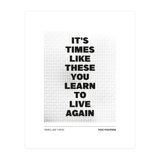 Foo Fighters - Times Like These (Print Only) thumbnail