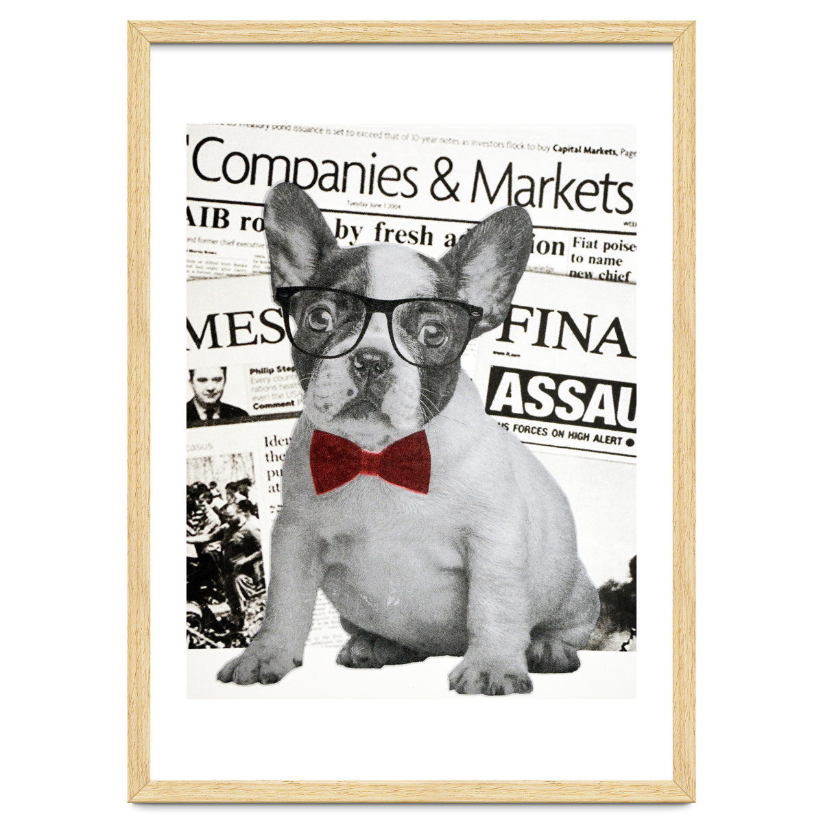 The Dog Of Wall Street