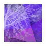 P19-D2 Trees and Triangles (Print Only) thumbnail