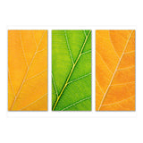 Autumn Leaves (Print Only) thumbnail
