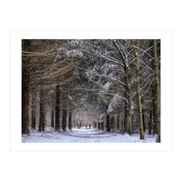 Dog Walkers in the Snow.  Heath Warren - Hampshire (Print Only)