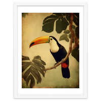 Toucan Vintage Jungle Painting