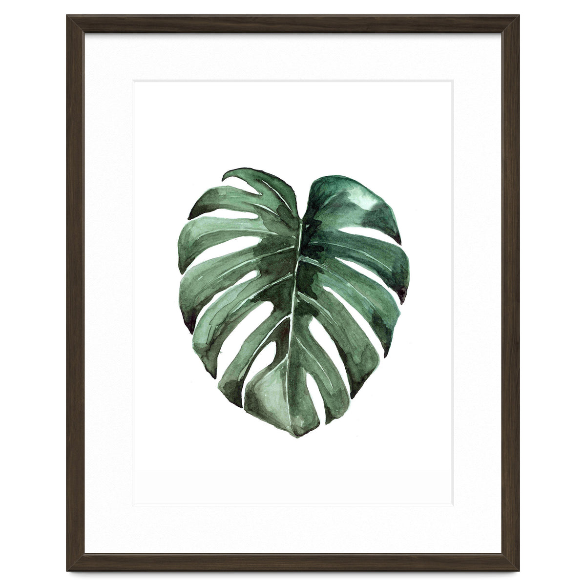 Botanical Illustration Monstera Deliciosa