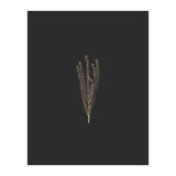 Delicate Fynbos Botanicals in Gold and Black (Print Only) thumbnail