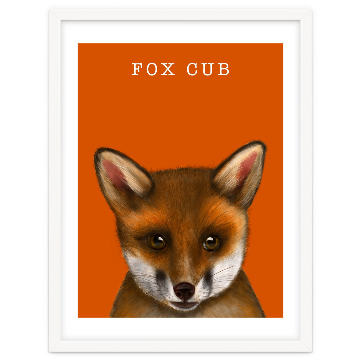 Fox Cub