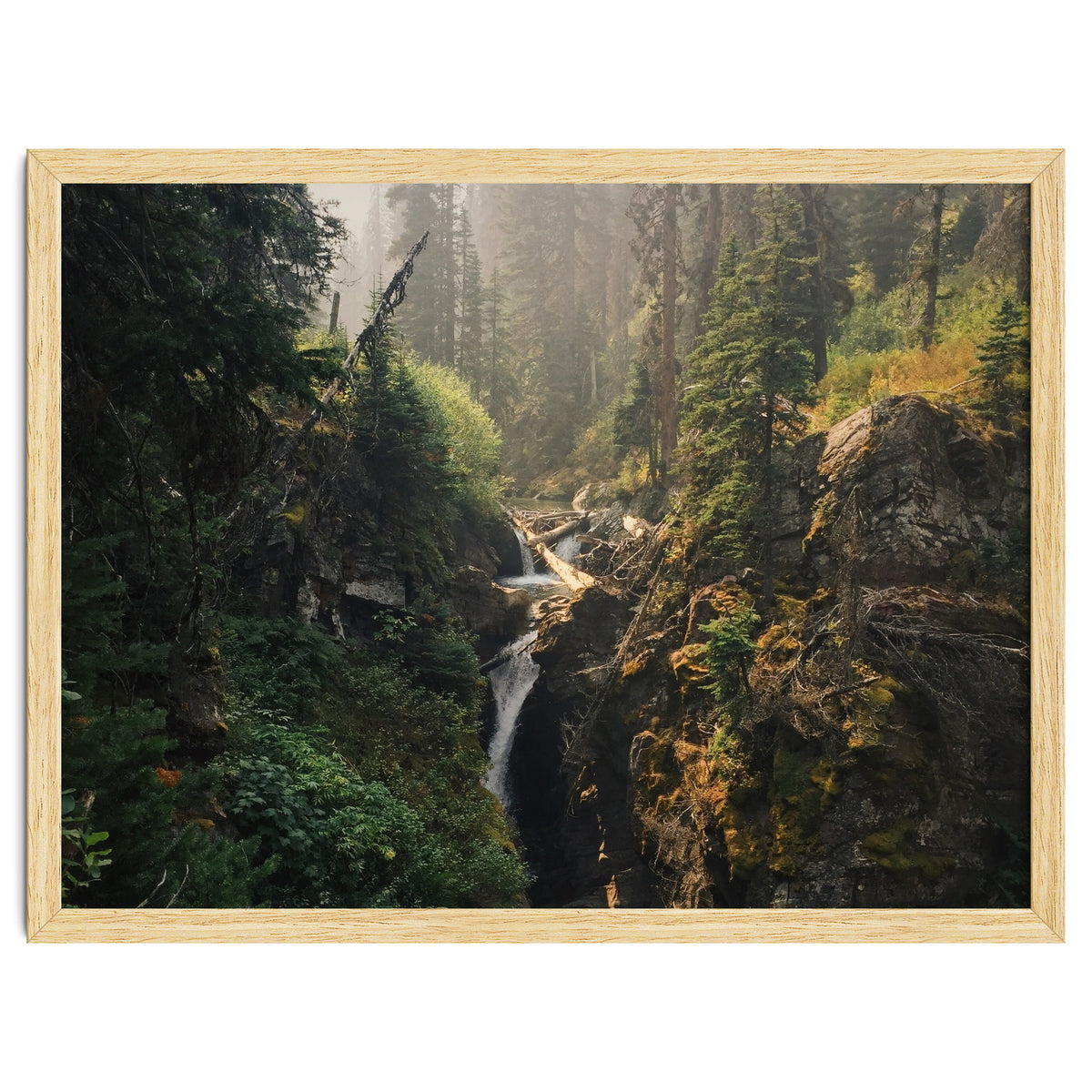 Glacier National Park I