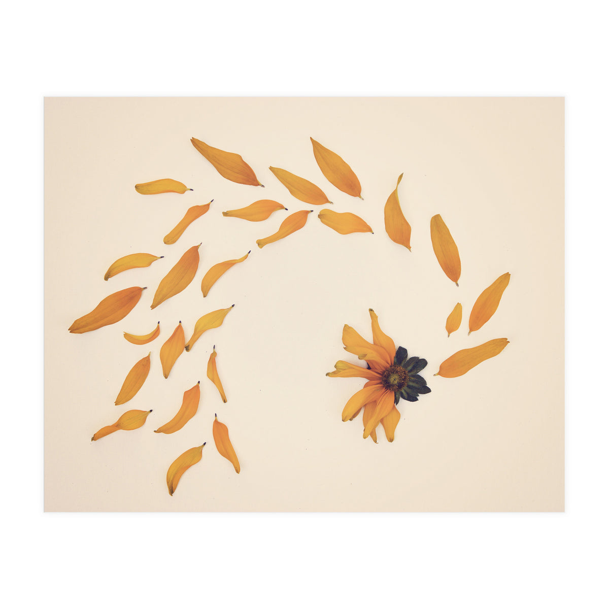 Everything Changed (Print Only)